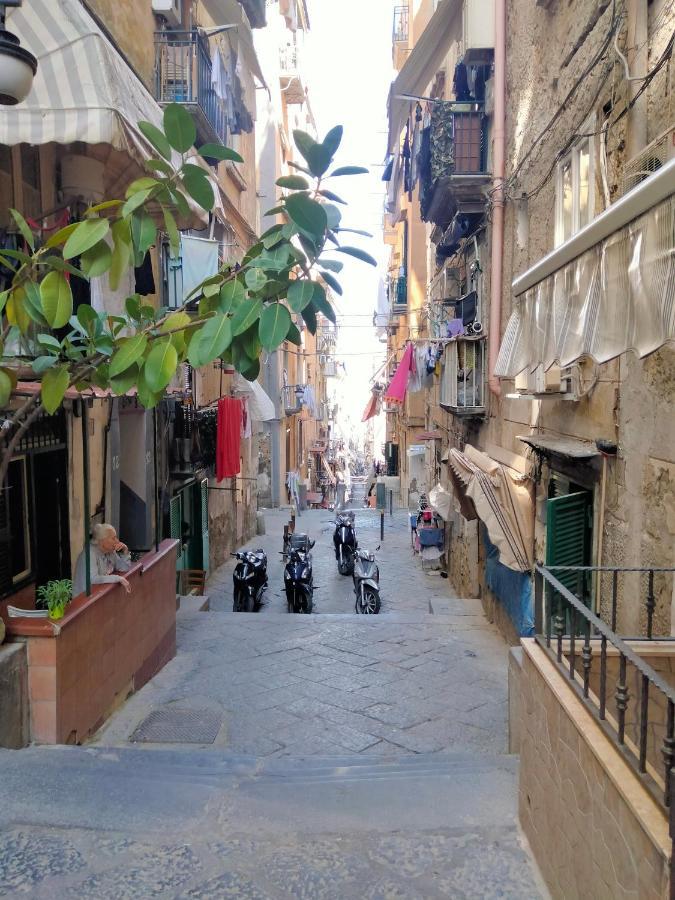 Casa Nunziatina Apartamento *